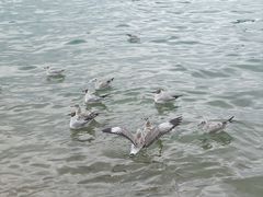 -青海湖二郎剑景区