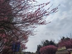 -云漫湖生态度假公园