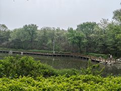 -云岗森林公园