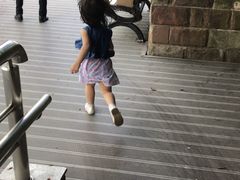 -苏州河梦清园环保主题公园