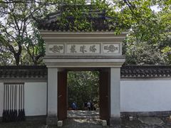 -上海佘山国家森林公园天马山园