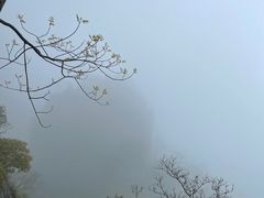 -蝶舞清江·恩施云顶景区(黄鹤峰林)