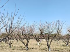 -南湖湿地公园