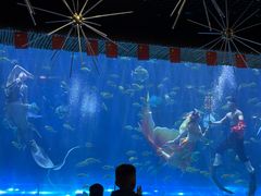 -华夏文旅海洋公园