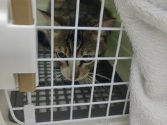 -拜鲁耶动物诊疗中心·宠家动物医院