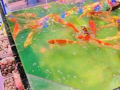 -双季花艺园艺市场(浦东店)