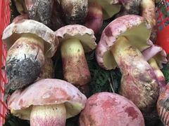 -菌之家·专业纯野生菌火锅·特色炒菌
