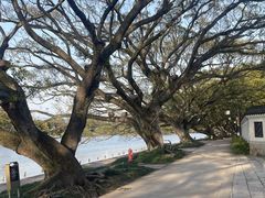 -江心屿景区
