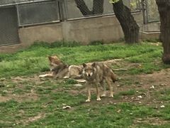 -西安秦岭野生动物园