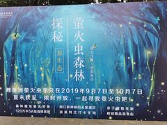 -福建鲤鱼洲酒店