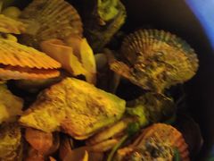 -土蚝·高压锅生蚝(百姓美食街店)