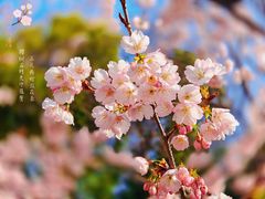 -静安雕塑公园