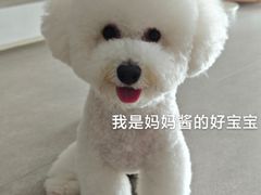 -贵族宠物·宠物美容(三阳路店)