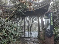 -杭州半山国家森林公园