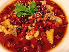 香辣芋儿蛙-付掌柜在成都·热炒砂锅集(金禾店)
