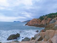 -广东惠东海龟国家级自然保护区