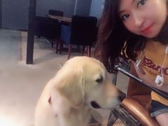 -百好乐宠物友好餐厅(朝外大街店)