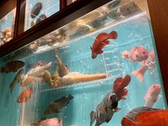 水产区-珍记海鲜酒家(嵩山路店)