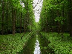 -黄海国家森林公园