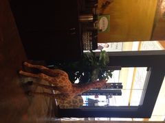 ZOO&nbsp;COFFEE(汉神百货店)-雨舍咖啡(汉神购物广场咖啡街区店)