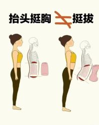 -三昧瑜伽·普拉提