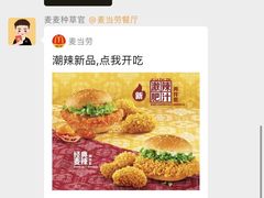 -麦当劳(新世纪环球中心店)