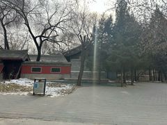 -元大都城垣遗址公园