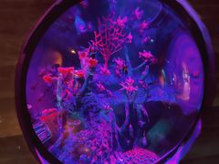 -沈阳海洋探索中心