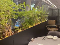 -柿合缘新京菜(国金中心商场店)