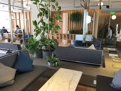 大堂-Bracket Coffee(工体店)