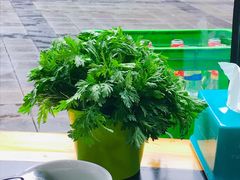 -洪湖·藕王养生汤(模范村店)