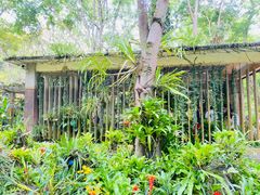 -中国科学院西双版纳热带植物园