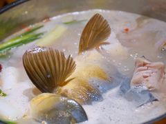 -大理老字号·舟渔的鱼野生菌海景餐厅(双廊店)