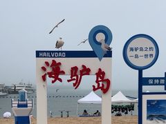 -海驴岛(荣成市)