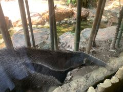 -长鹿旅游休博园