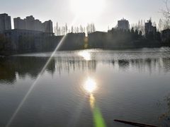 -楚秀园