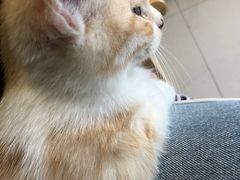 -平行世界·猫咖(首经贸店)