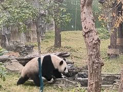-武汉动物园