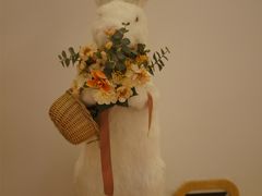 -猫腻·猫咖·撸猫馆(星光大道店)