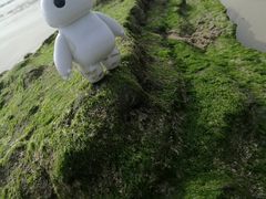 -席仁堂推拿按摩脊柱调理(世纪科贸大厦店)