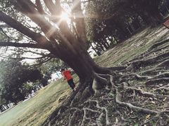 -东莞植物园