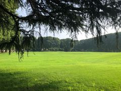 -河南省黄河迎宾馆
