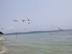 -棒棰岛宾馆景区