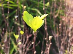 神农草堂中医药博物馆-广州神农草堂中医药博物馆