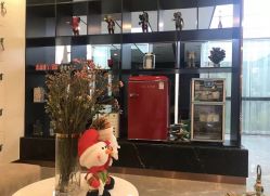 -CD Hair salon