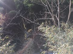 -太湖源风景区