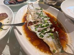 -金美华轩(东方路齐鲁店)
