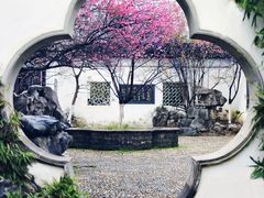 -八大山人梅湖景区