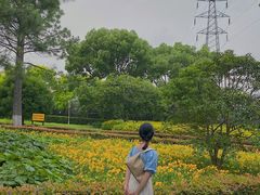 -宁波儿童公园(鄞州区)