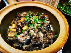 -红星光发煲仔饭(大石街店)